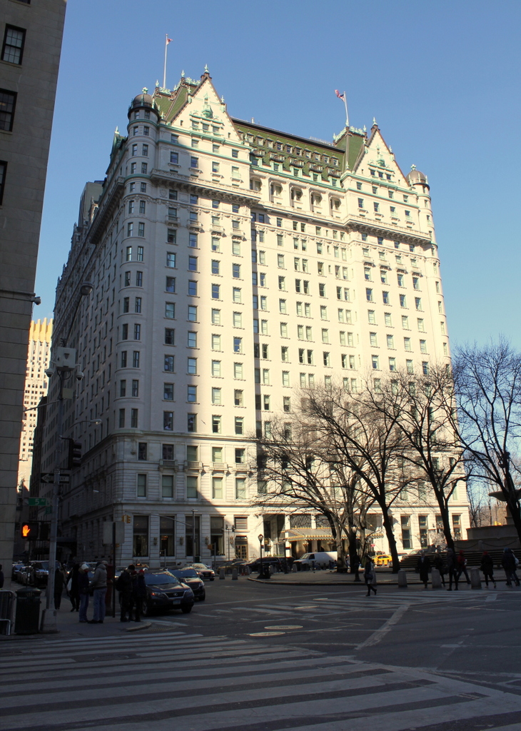 Fifth Avenue Hotel - Wikipedia