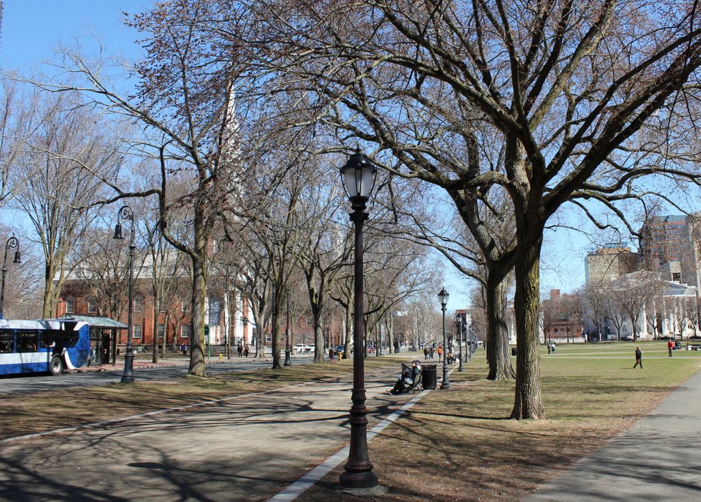 parking for 40 temple street new haven