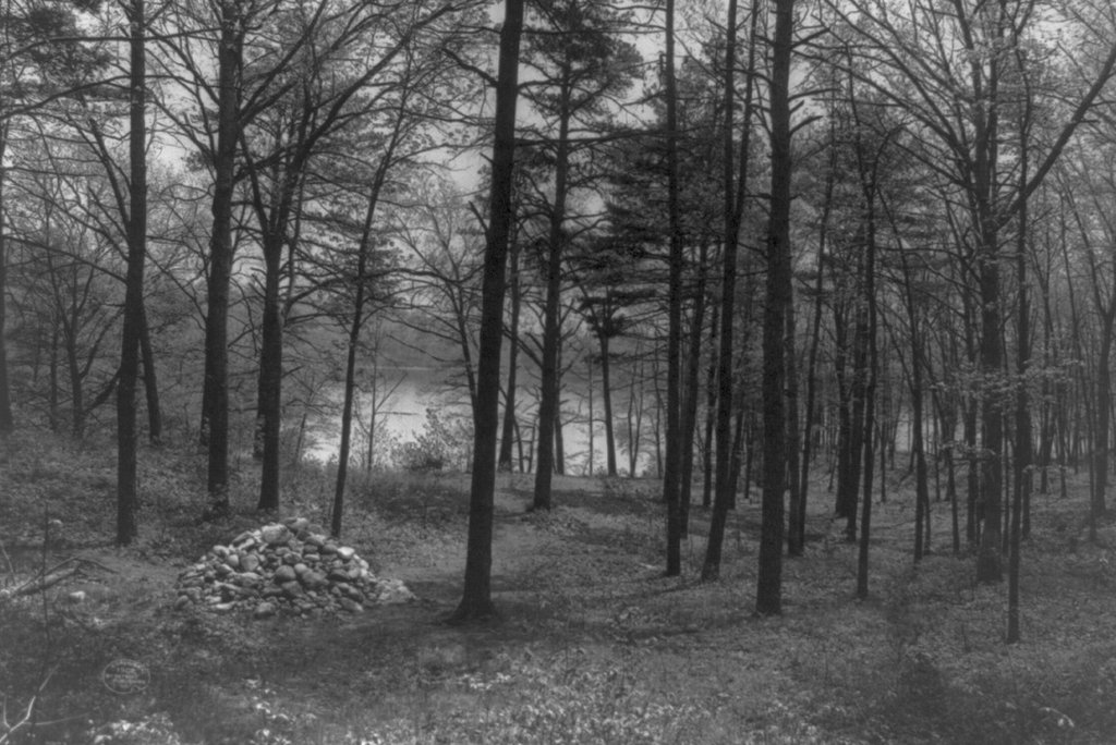 Henry David Thoreau's cove,water,Lake Walden,Pond,Concord,Massachusetts,MA,1900 