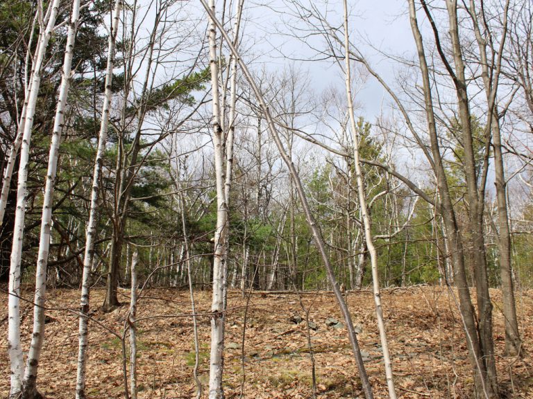 Hotel Kaaterskill, Hunter, New York Lost New England